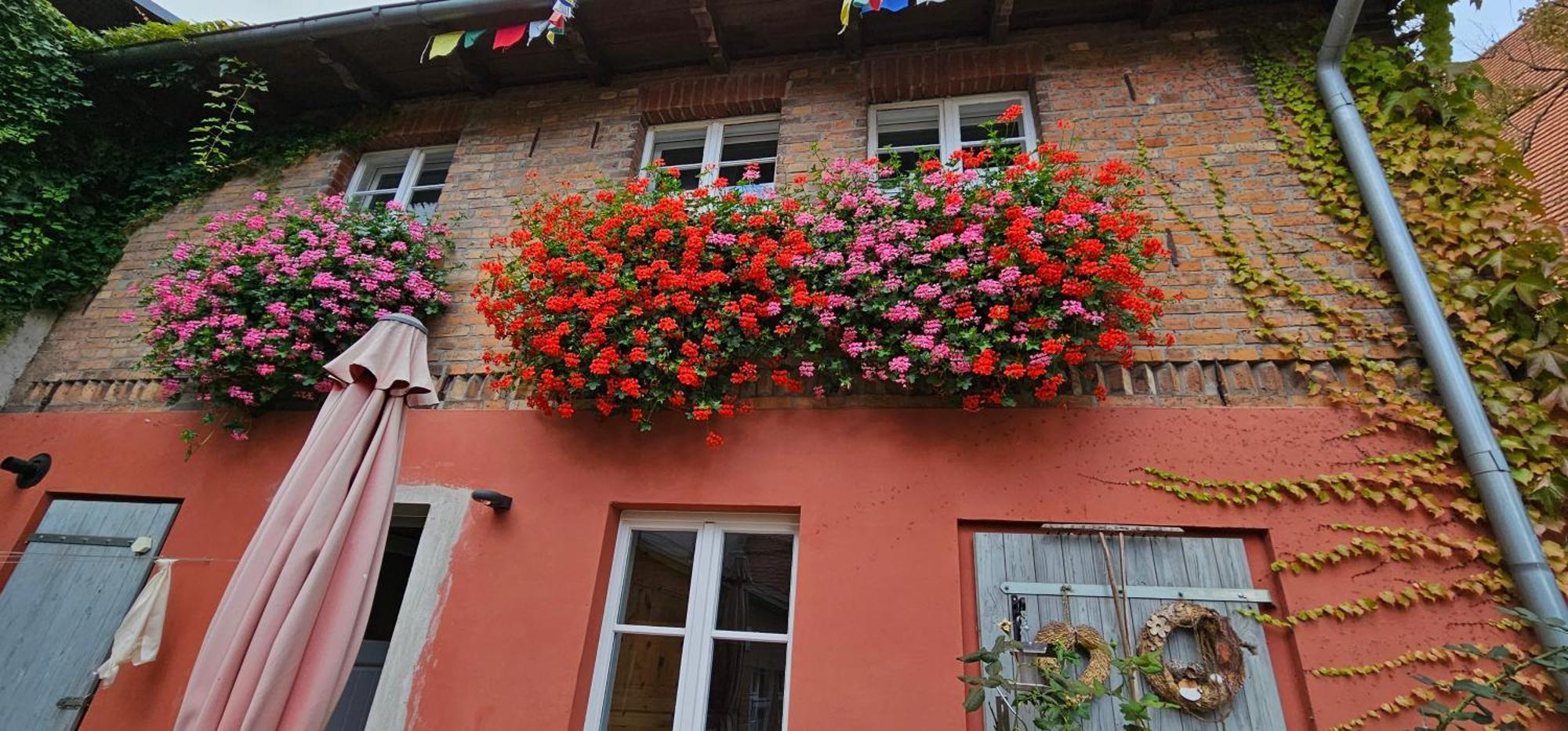 Ferienhaus In Der Historischen Altstadt Von Angermuende Angermunde Exterior photo
